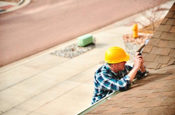Best Roof Gutter Cleaning  in Albion, NY