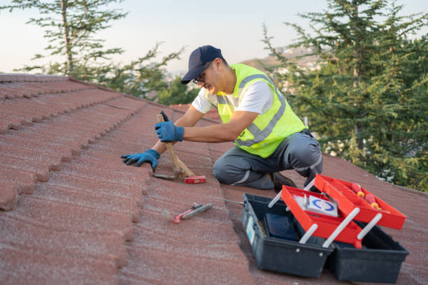 Best Tile Roofing Contractor  in Albion, NY