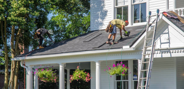Best Metal Roofing Contractor  in Albion, NY
